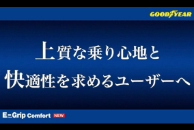 goodyear MICHELIN