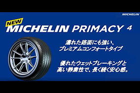 goodyear MICHELIN